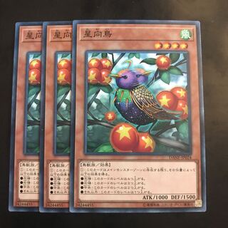 星向鳥 ノーマル