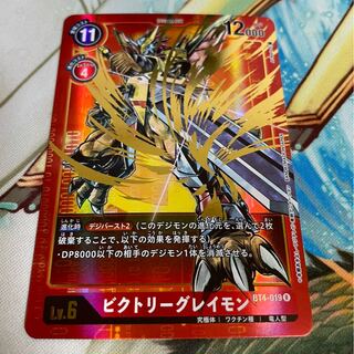 けい　ビクトリーグレイモン　パラレル