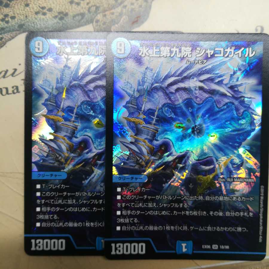 水上第九院 シャコガイル