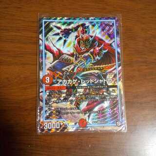 アカカゲ・レッドシャドウ