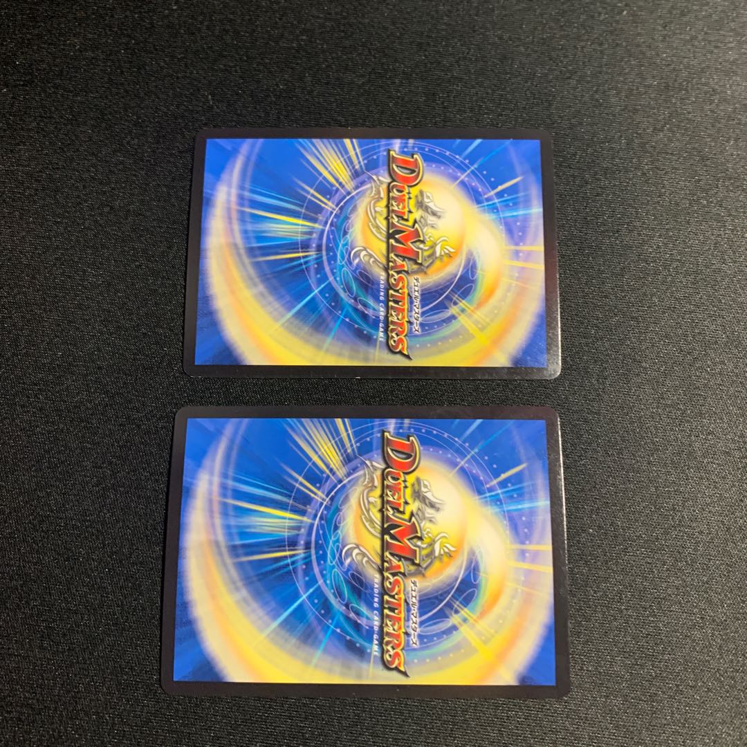 龍世界 -龍の降臨する地- VR