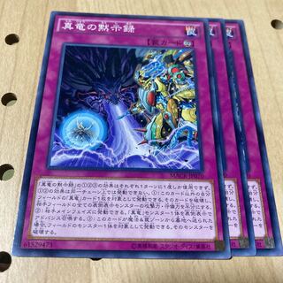 真竜の黙示録 ノーマル 3枚