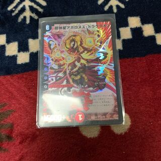 アポロヌスドラゲリオン