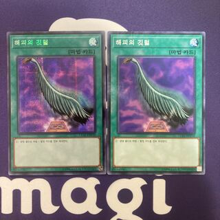 韓国語版　ハーピィの羽根箒　セット品