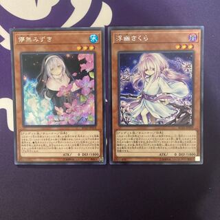 儚無みずき　浮幽さくら　セット品