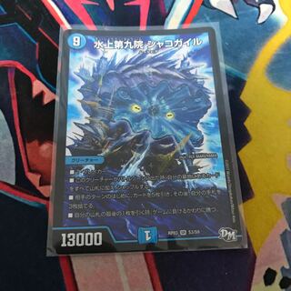 シャコガイル 1枚