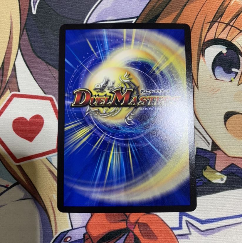 煌龍 サッヴァーク MDG