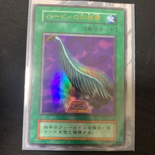 ハーピィの羽根帚