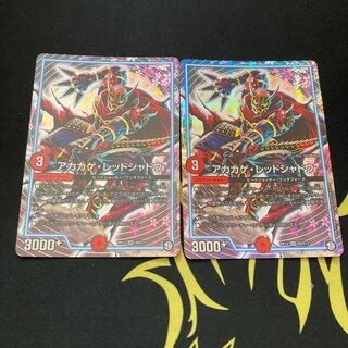 アカカゲ・レッドシャドウ