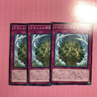 ナチュルの神星樹