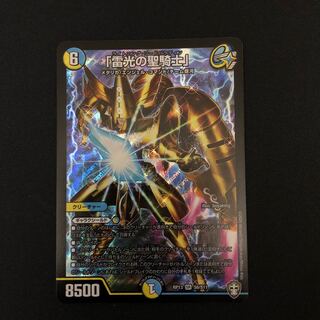 「雷光の聖騎士」