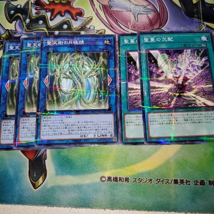 聖天樹の月桂精パラレル