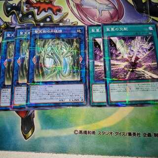 聖天樹の月桂精パラレル