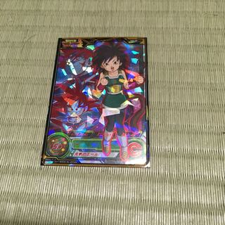 guinea pig (Cavia porcellus)