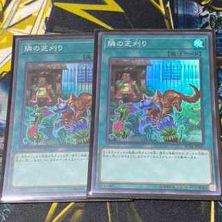 最安値 スーパー 2枚セット 隣の芝刈り