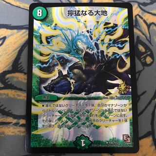 翌日発送　獰猛なる大地　プロモ