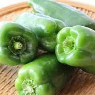 ゼノシャーク2枚　専用