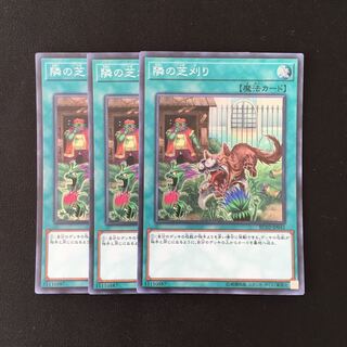 f74 隣の芝刈り スーパーレア 3枚セット 遊戯王 トレトレ