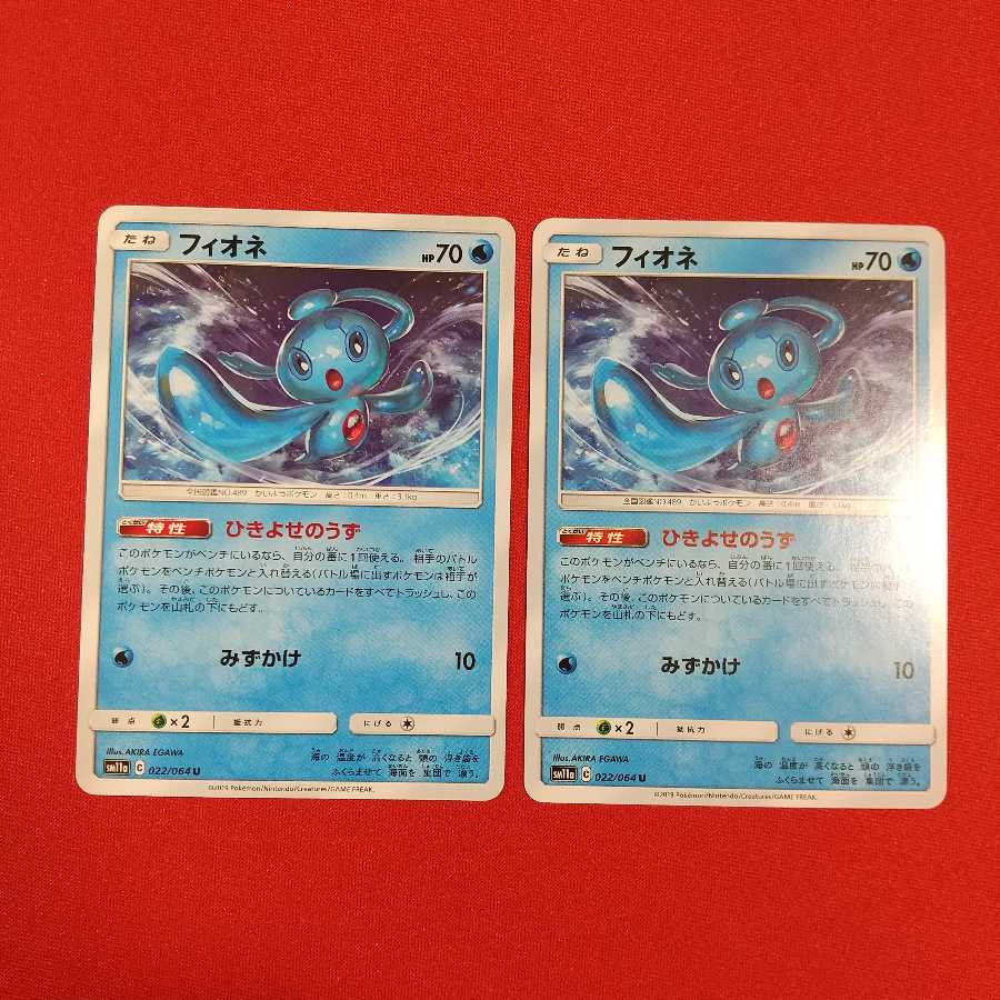 フィオネ U 2枚セット ひきよせのうず