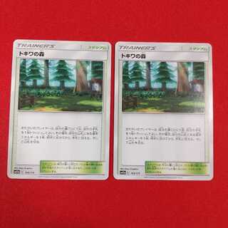 トキワの森 2枚セット