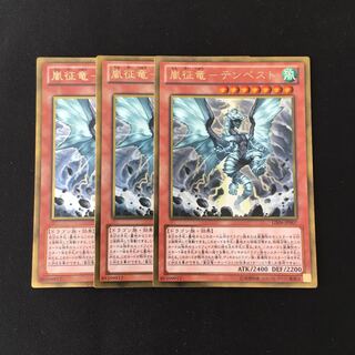 専用(追加)f119 嵐征竜-テンペスト  3枚セット 遊戯王 トレトレ