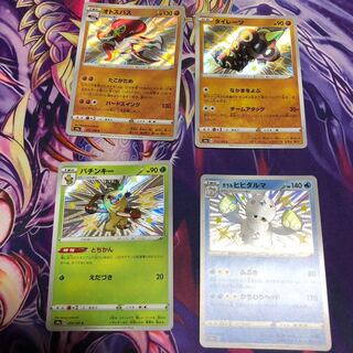 専用 タイレーツのみ