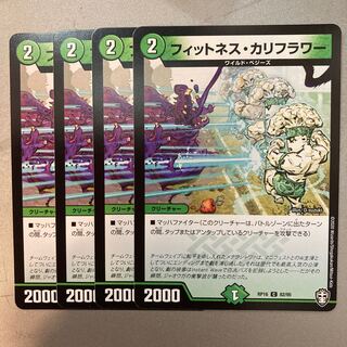 フィットネス・カリフラワー