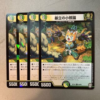 Violent little bear cat