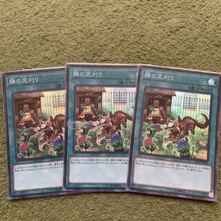 隣の芝刈り スーパーレア3枚