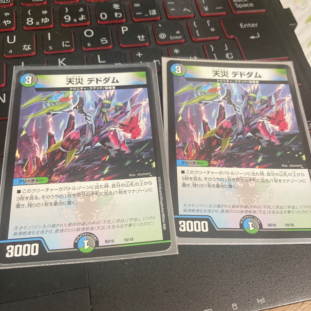 天災 デドダム　2枚セット