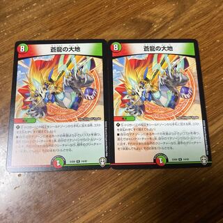 蒼龍の大地　2枚