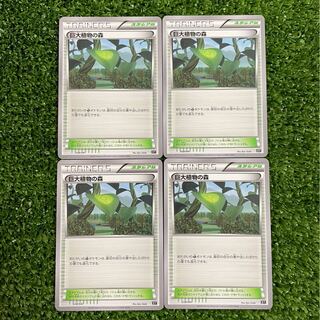 XY ポケモンカード 巨大植物の森 4枚