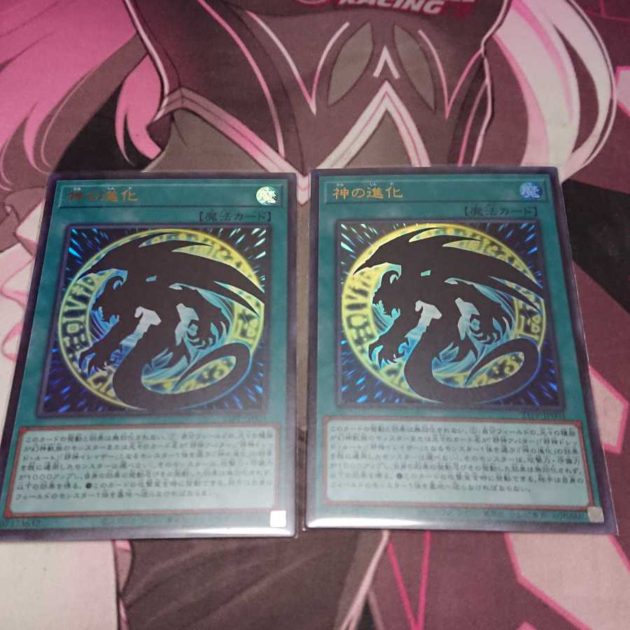 Divine Evolution 2 copies