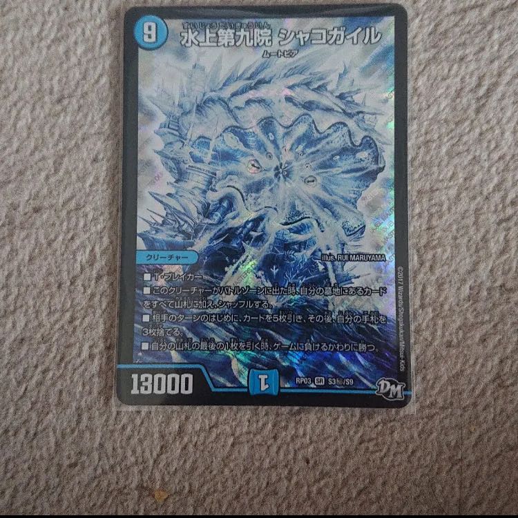 シャコガイル シク 1枚