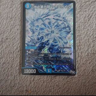 シャコガイル シク 1枚