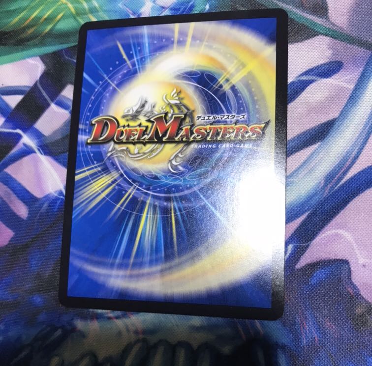 「絶対の楯騎士」