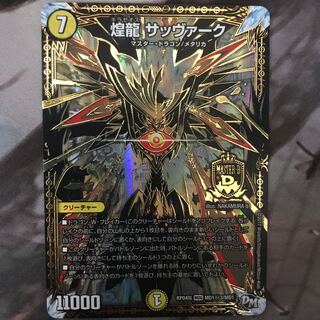 煌龍 サッヴァーク SE