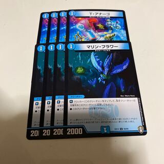 T・アナーゴ マリンフラワー