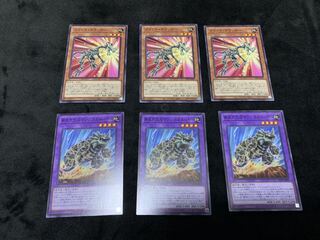 PP21［化石］ノーマルセット