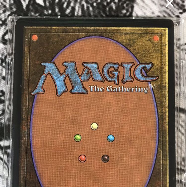 ライオンの瞳のダイアモンド