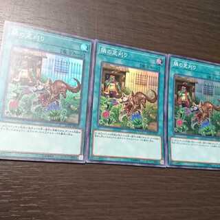 隣の芝刈り スーパーレア