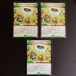 コクーン・シャナバガン