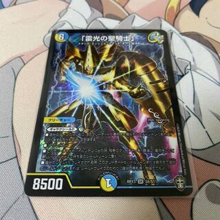 「雷光の聖騎士」