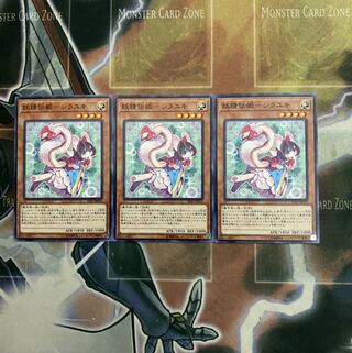 妖精伝姫-シラユキ