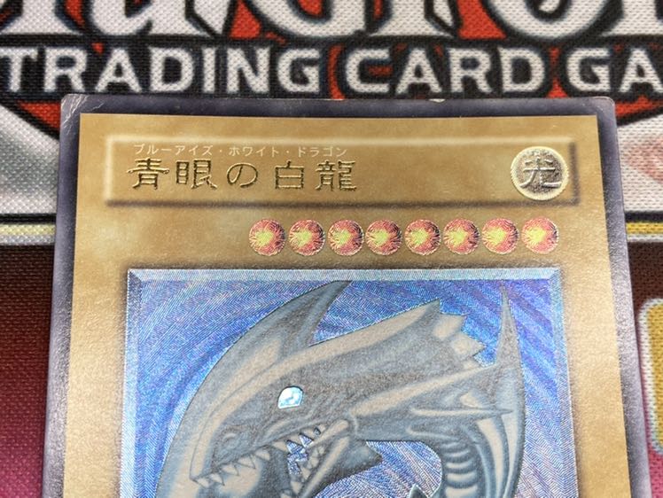 【希少、青艶】青眼の白龍　レリーフ