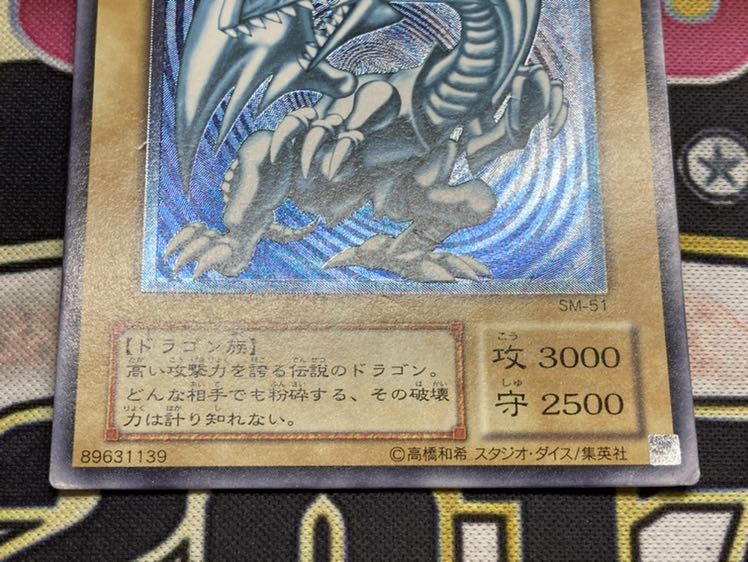 【希少、青艶】青眼の白龍　レリーフ