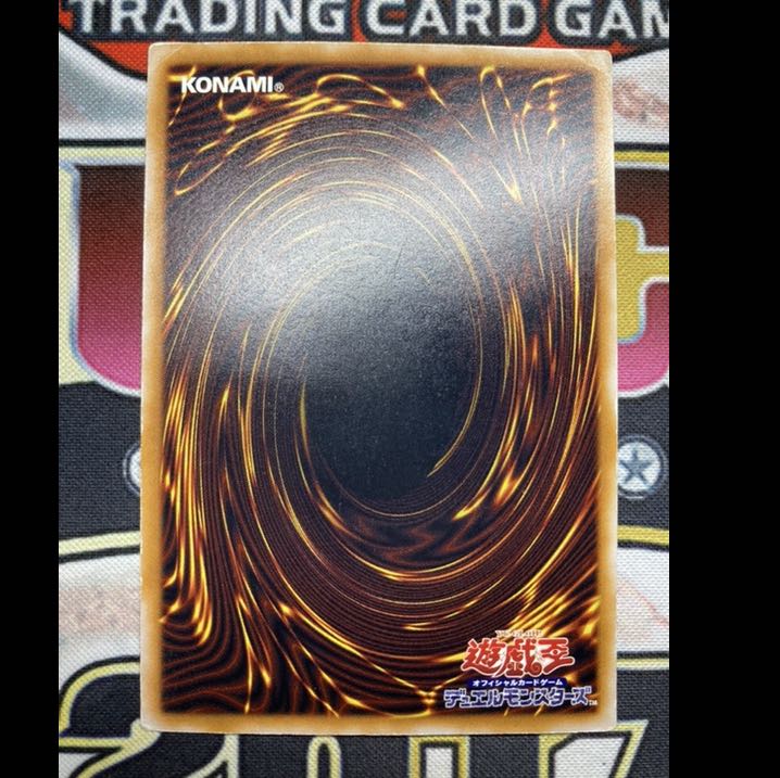 【希少、青艶】青眼の白龍　レリーフ