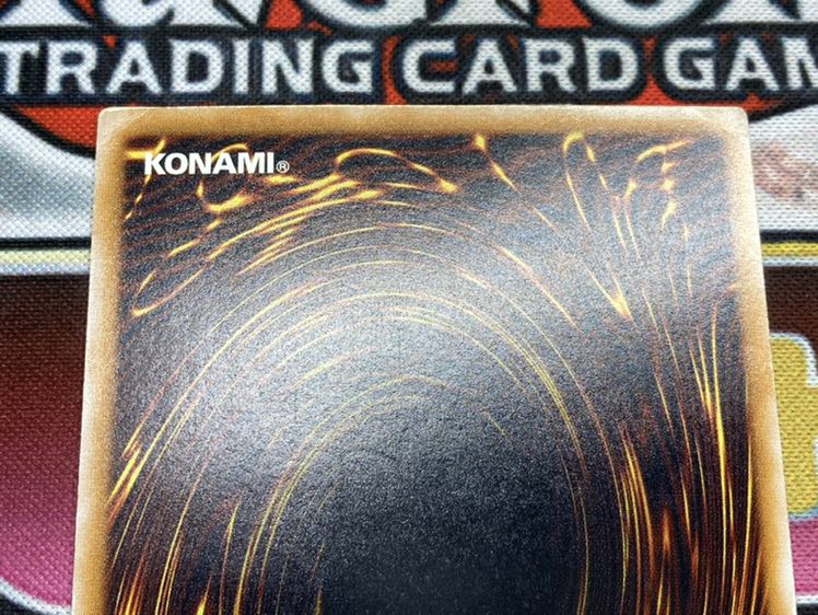 【希少、青艶】青眼の白龍　レリーフ