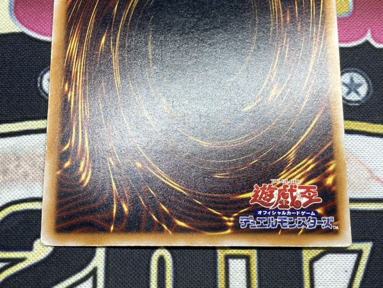 【希少、青艶】青眼の白龍　レリーフ