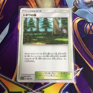 トキワの森 ポケカ もり スタジアム エネルギー